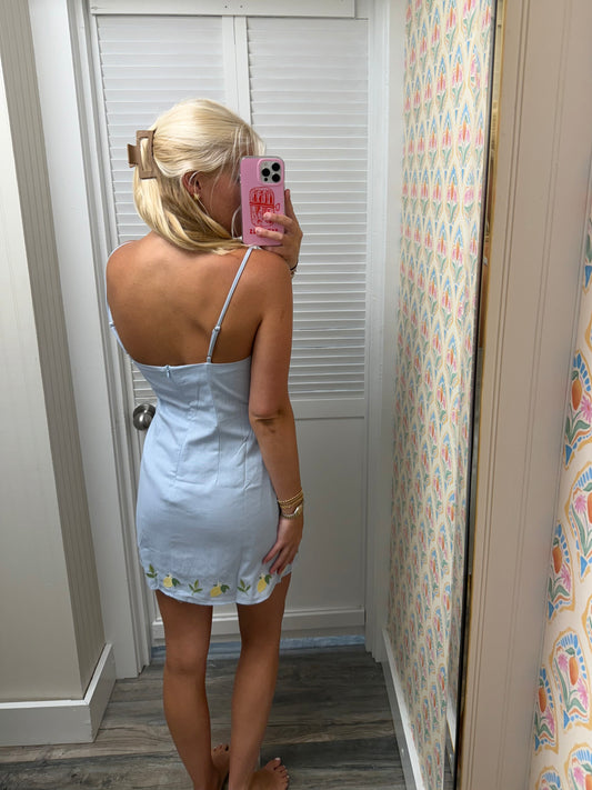 Embroidery Detail Spaghetti Mini Dress