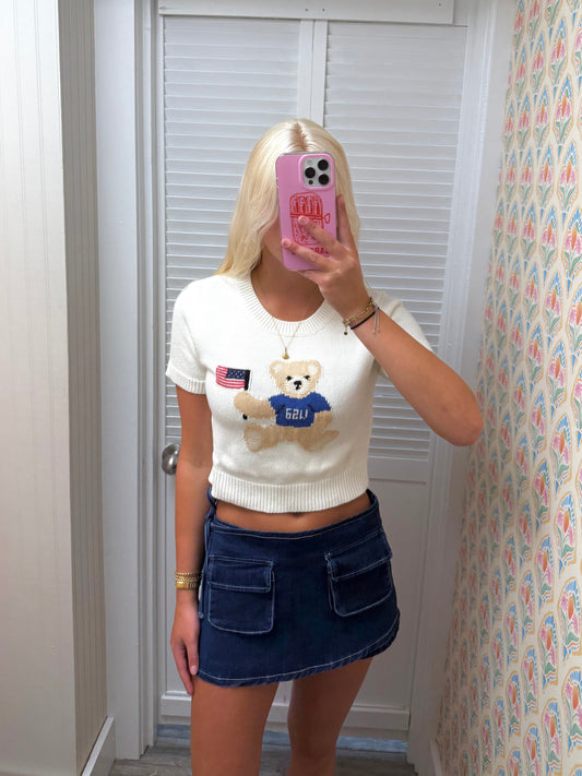"Teddy Bear USA" Graphic Crew Neck Sweater