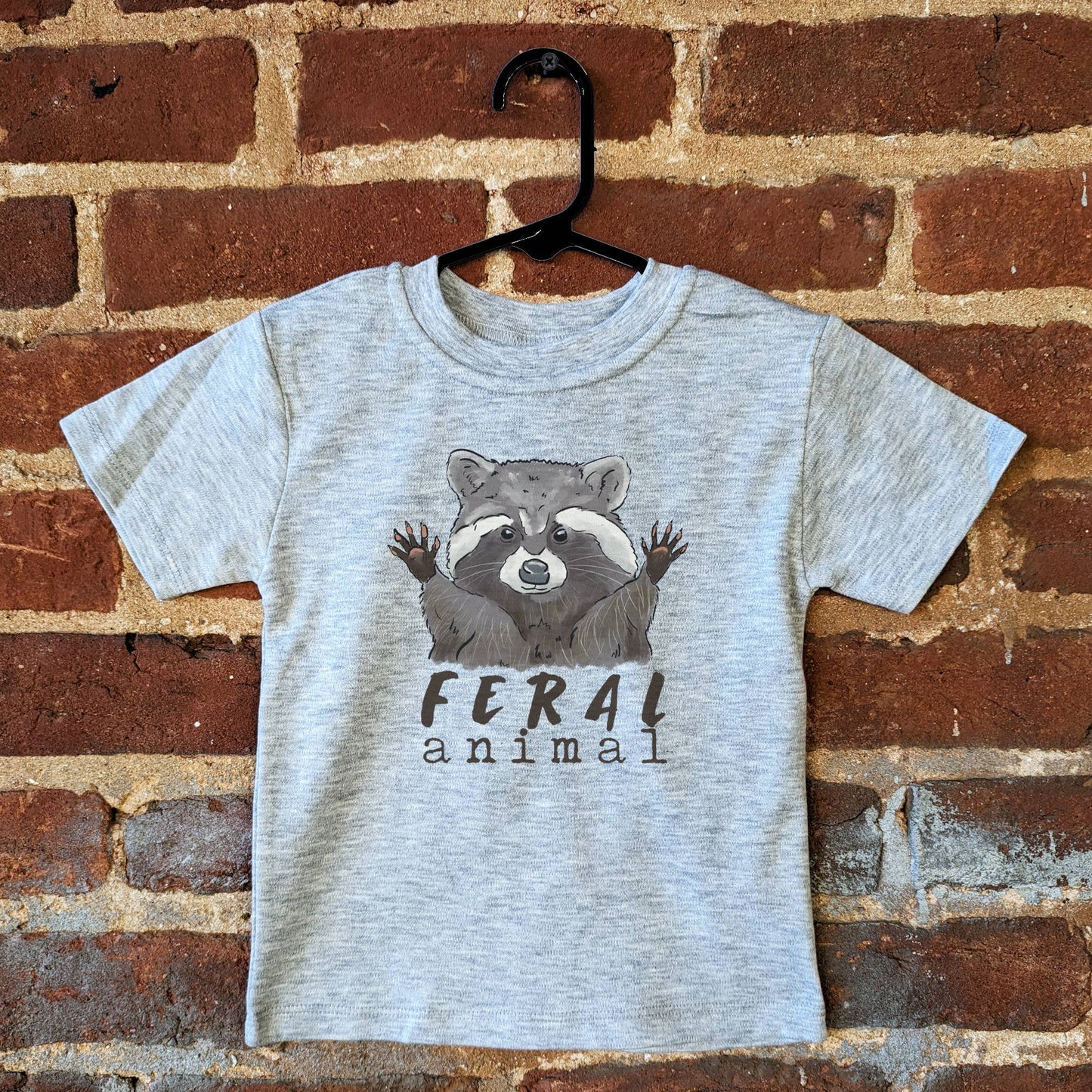 Feral Animal Raccoon Woodland