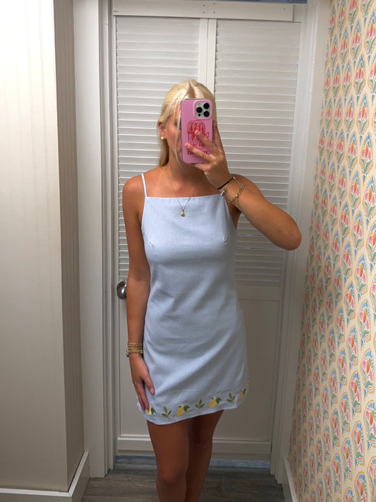 Embroidery Detail Spaghetti Mini Dress
