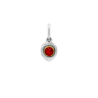 Birthlight Charm