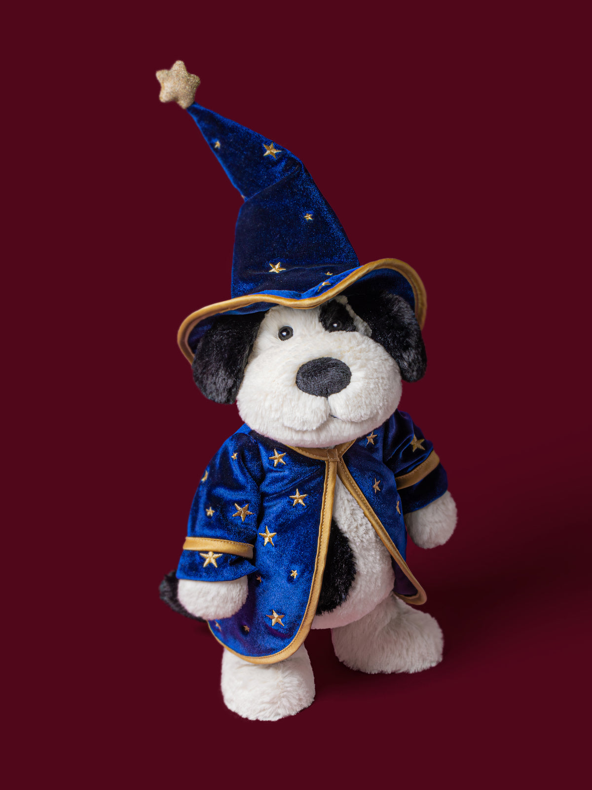 Rufferty Puppy Wizard Outfit