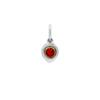 Birthlight Charm