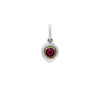 Birthlight Charm
