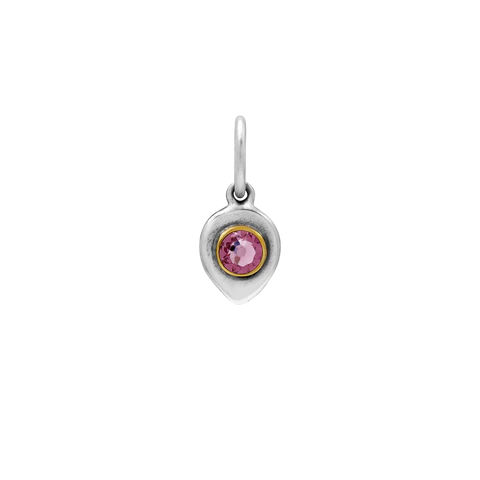 Birthlight Charm