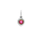 Birthlight Charm