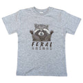 Feral Animal Raccoon Woodland